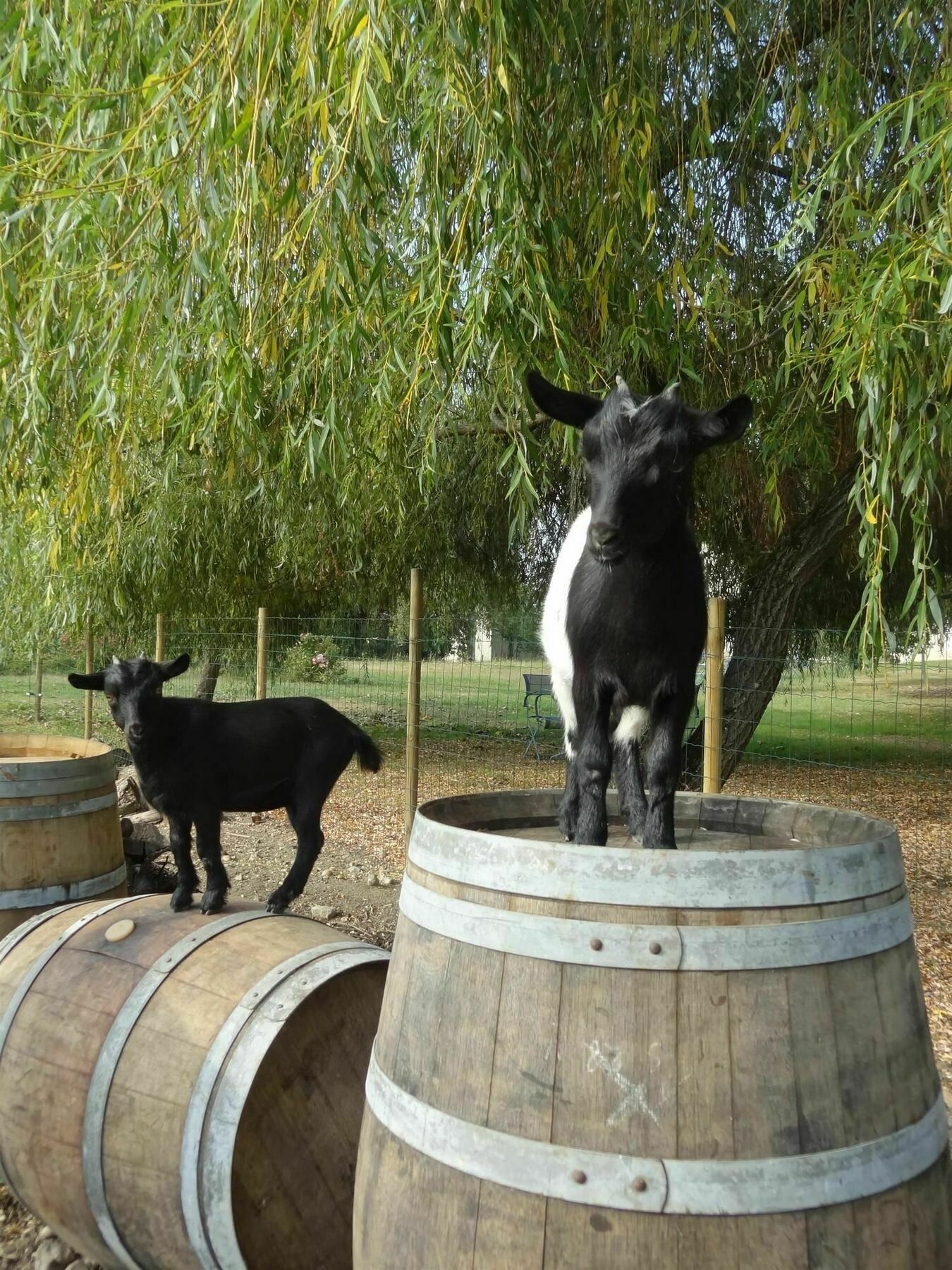 Kyriad Libourne Saint Emilion Exterior foto